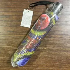 ヤンチェオンテンバール　折り畳み傘 折りたたみ傘 Jantje_ontembaar USED美品 SAKURA ヤンチェオン