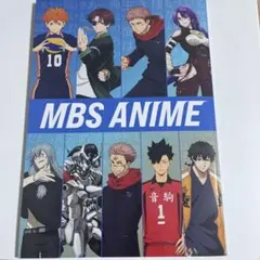 【美品】MBS animefes2025 DAY1パンフレット