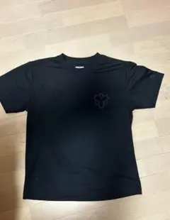 ハンドボール 日体大 2024
