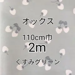 いちご柄（くすみグリーン）オックス生地 2m