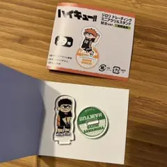 【未使用】ハイキュー‼︎ ジロリトレーディングミニアクリルスタンド　澤村大地