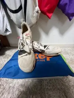 Item thumbnail for item 167fe572-0033-47d5-a707-fe9ac26e5aa0