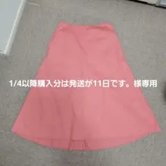 【デミルクスビームス】フレアスカート 日本製