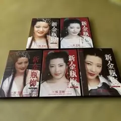 新・金瓶梅　DVD 全5巻　セル版
