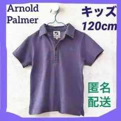 【アーノルドパーマー 】紫色 ポロシャツ キッズ 120cm