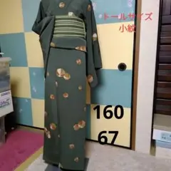 トールサイズ 小紋