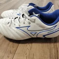 Mizuno Monarcida スパイク　22.5
