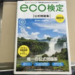 2025年版 環境社会検定試験eco検定公式問題集