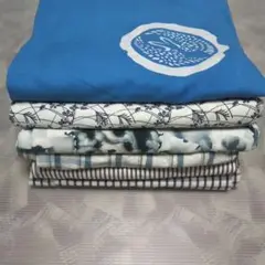 Item thumbnail for item 578ad28b-4ad0-48fa-b56d-3f14bb2b4745