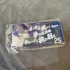 中日ドラゴンズ　石川昂弥　応援歌キーホルダー