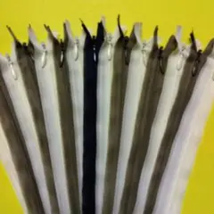 Item thumbnail for item 94771479-2b87-44e7-b817-c2367b32acdb