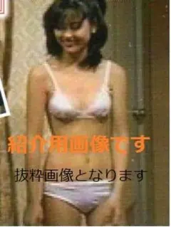 ☆ 秘蔵 永久保存版 切り抜き ☆ 中山美穂 南野陽子 ☆