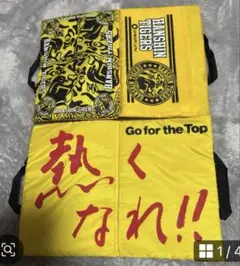 ❤️阪神タイガースシートクッション
