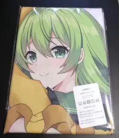 東方Project　古明地さとり　古明地こいし　抱き枕カバー　高階＠聖人 東方Project 古明地さとり 古明地こいし 抱き枕カバー 高階@聖人