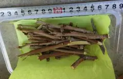 Item thumbnail for item 34f254c9-547a-44f6-b504-0d4c53b1e53f