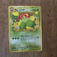 キレイハナ　ポケットモンスター　ゲームカード