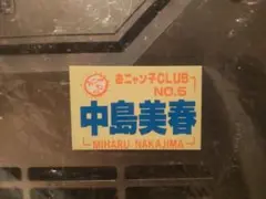 80年代★アイドル おニャン子クラブ 中島美春 マグネット 磁石 グッズ