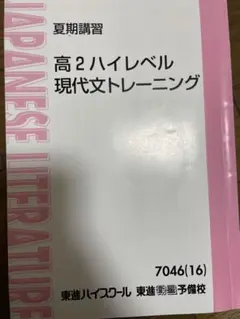 夏期講習 高2ハイレベル 現代文トレーニング