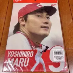 丸佳浩　クリアファイルセット　広島　カープ
