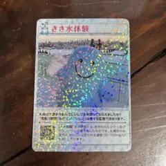 さき水体験カード　　 WAPICA～ウォピカ～