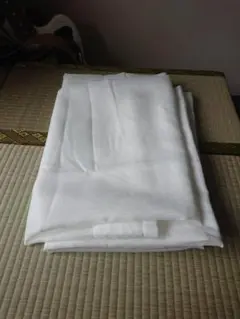 イケア　アスククロッカ　レースカーテン ASKKLOCKA ２枚