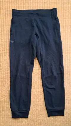 Mizuno スリムフィット ブラックジャージパンツ M