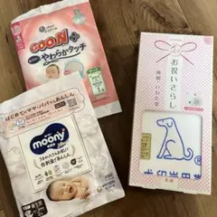 Item thumbnail for item 2bf8ad98-80ad-4c74-bf0c-bff80ad8de81