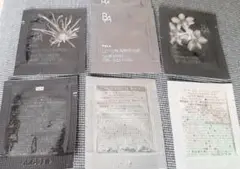 POLA スキンケア ベースメイク サンプルセット