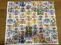 55.ヨークシャテリア