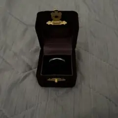 Item thumbnail for item e0e03df4-9ceb-407b-be55-65439f3f85c1