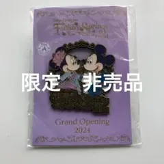 非売品 ファンタジースプリングスホテル グランドシャトー ピンバッジポストカード 非売品 ファンタジースプリングスホテル グランドシャトー