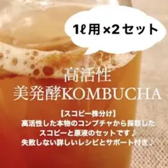 2L作成用 美発酵コンブチャ スコビー株分け 詳しいレシピu0026サポート