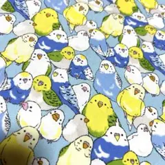 【オックスプリント】おしゃべりインコ 水色ベース 約111×50cm