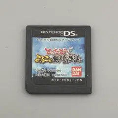 【動作確認済】とったど〜よゐこの無人島生活　ds
