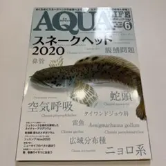 【貴重！】月刊アクアライフ スネークヘッド特集 4冊セット 2401226_n.jpg
