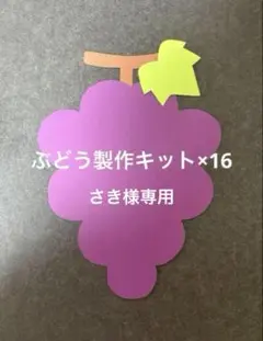 ぶどう　16セット