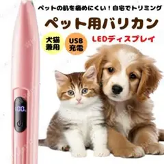 Item thumbnail for item 63d303a4-352a-4fb8-b5ac-db1f632be105