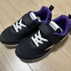 Item thumbnail for item 22e0e17d-65de-46d3-8c81-634e30578328