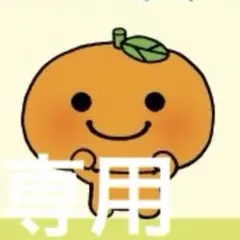 みかんさま専用　ビキニ