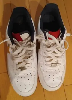 Item thumbnail for item 45186e22-b22f-425c-a294-2075294e8528