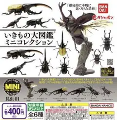 いきもの大図鑑ミニコレクション 昆虫01 全6種
