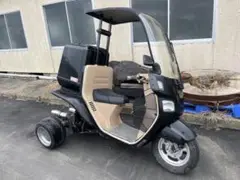 ジャイロキャノピー カスタム多数
