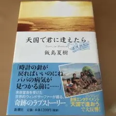 天国で君に逢えたら