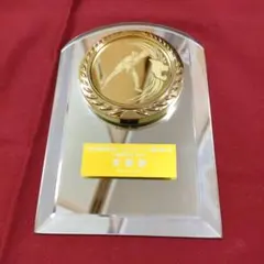バトミントン トロフィー ガラス