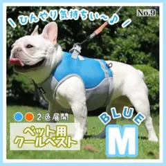Item thumbnail for item da215330-1df1-41e2-84bc-c46f91c92362