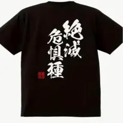 おもしろT ユニークT オーバーサイズ　日本語 Tシャツ 背面プリントLサイズ