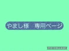 鬼滅の刃　カード　悲鳴嶼行冥様