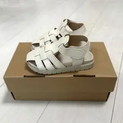 PADAM グルカソレイユ 朝のミルク 14cm
