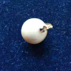 鯨歯　マッコウクジラ　牙玉　ルース　約22.5㎜　片穴3㎜ 鯨歯 マッコウクジラ 牙玉 ルース 約22.5㎜ 片穴3㎜ - メルカリ