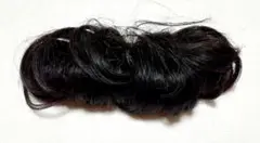 Item thumbnail for item fd6927d9-e1d4-419d-9a88-77b30a20b366